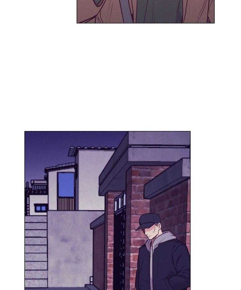 《讹上大佬的后果》第48话 过度保护 第5页