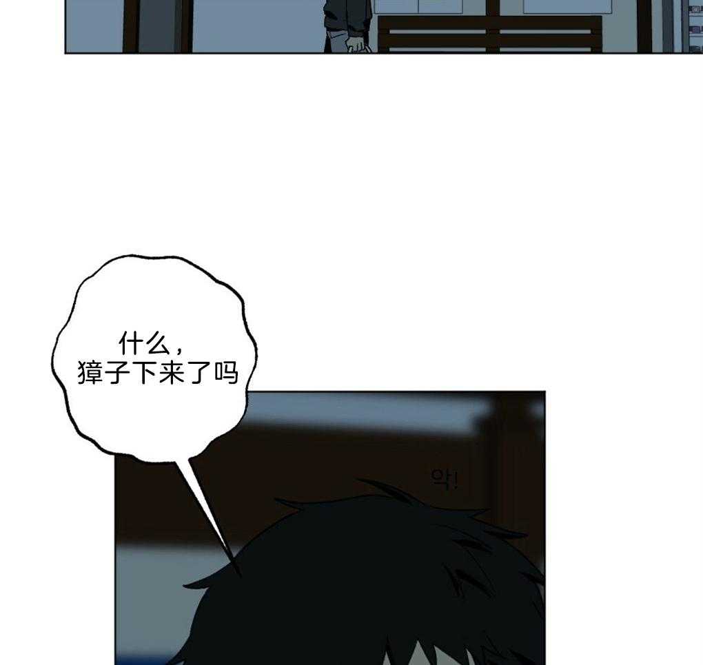 《弟弟总想以下犯上》第46话 这是什么 第14页