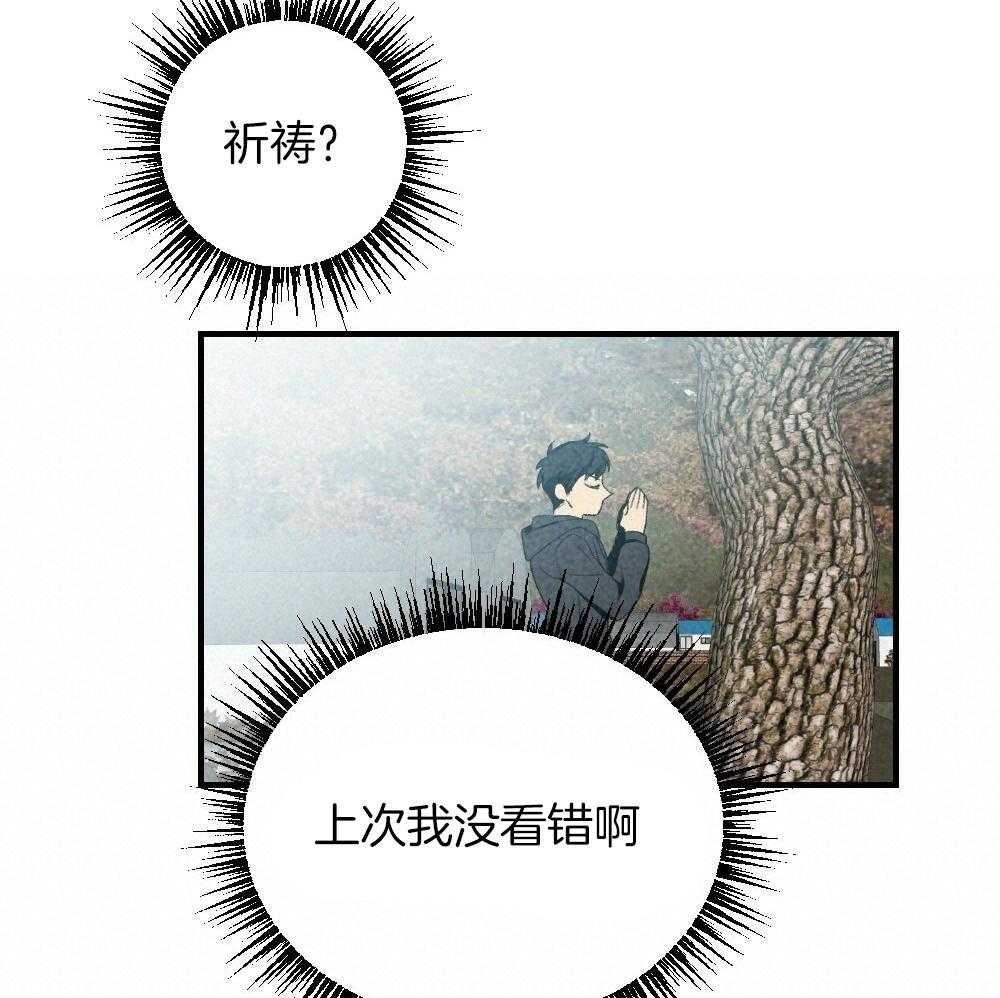 《弟弟总想以下犯上》第82话 就知道会这样 第17页