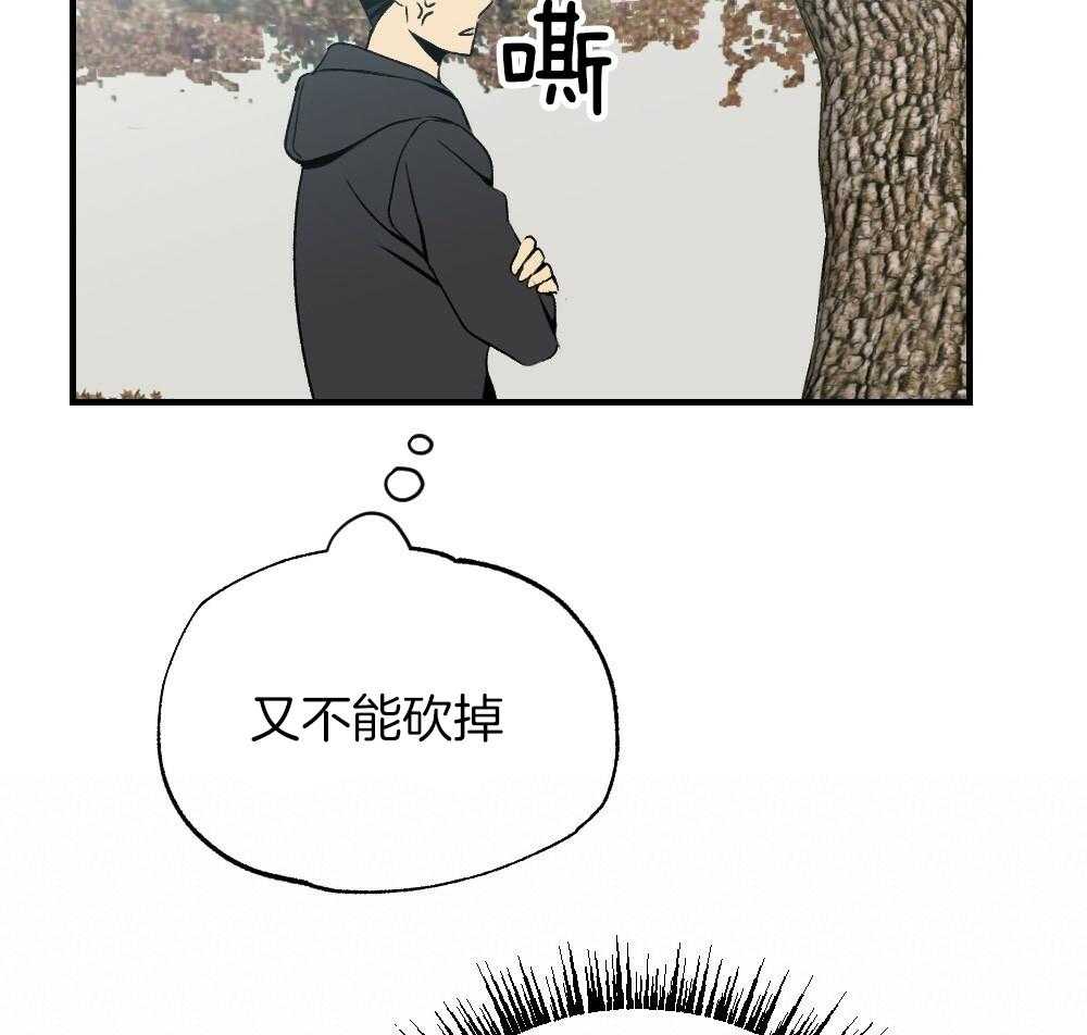 《弟弟总想以下犯上》第85话 消失 第40页