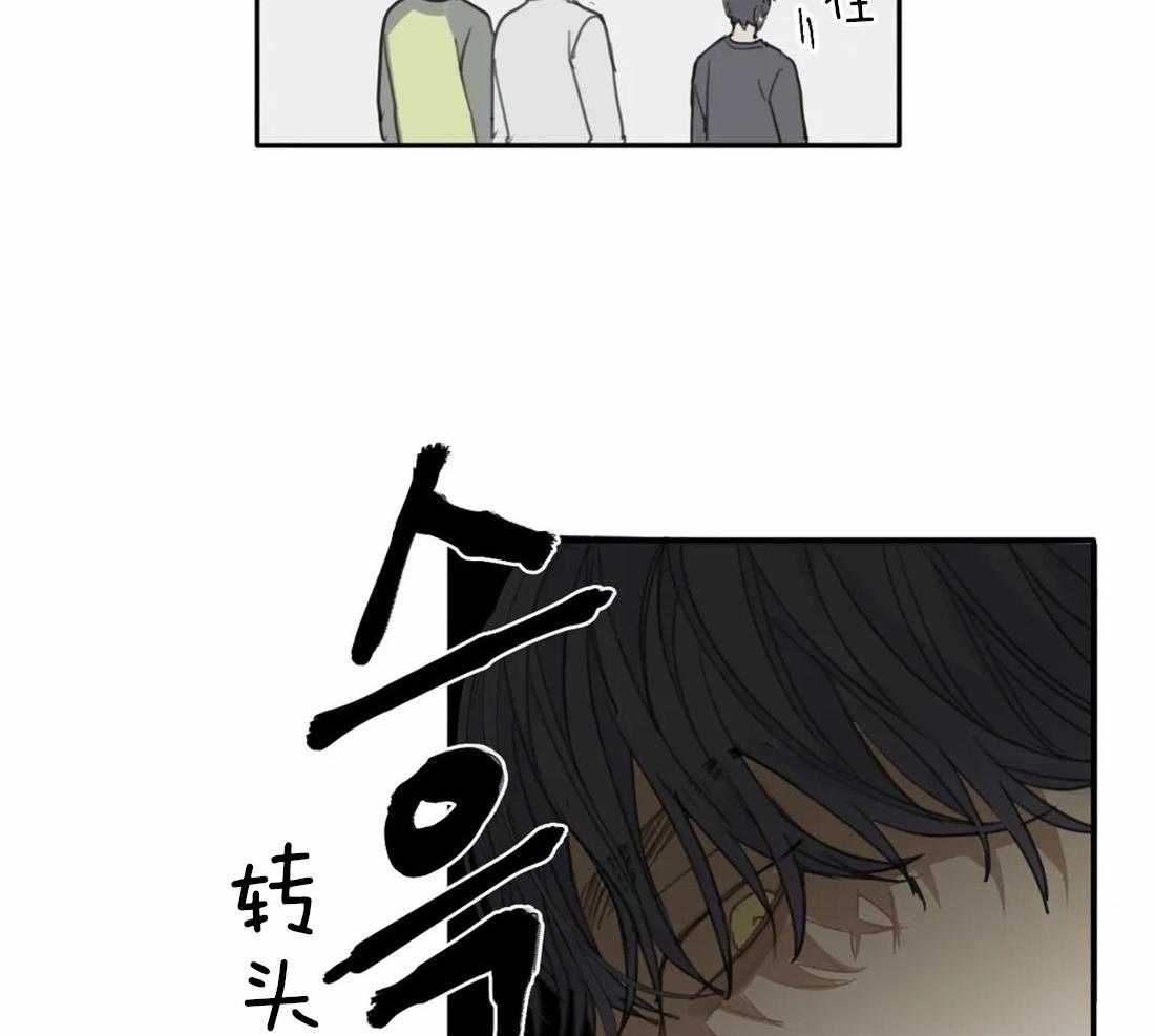 《疯狂的毒》第39话 只能这么定义 第25页