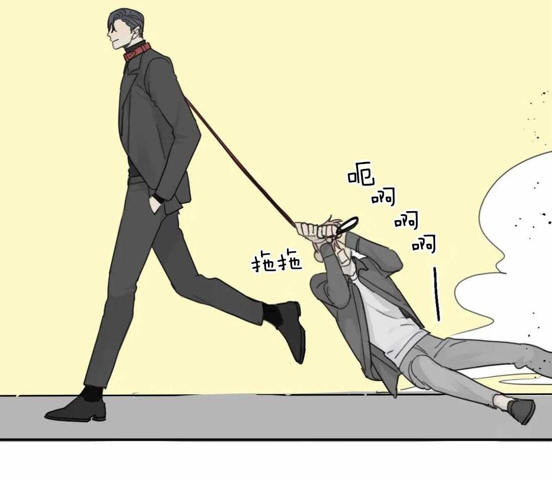 《疯狂的毒》第37话 真碍眼 第16页