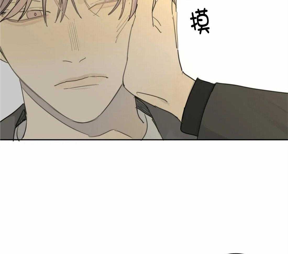 《疯狂的毒》第45话 你该学会感恩 第17页