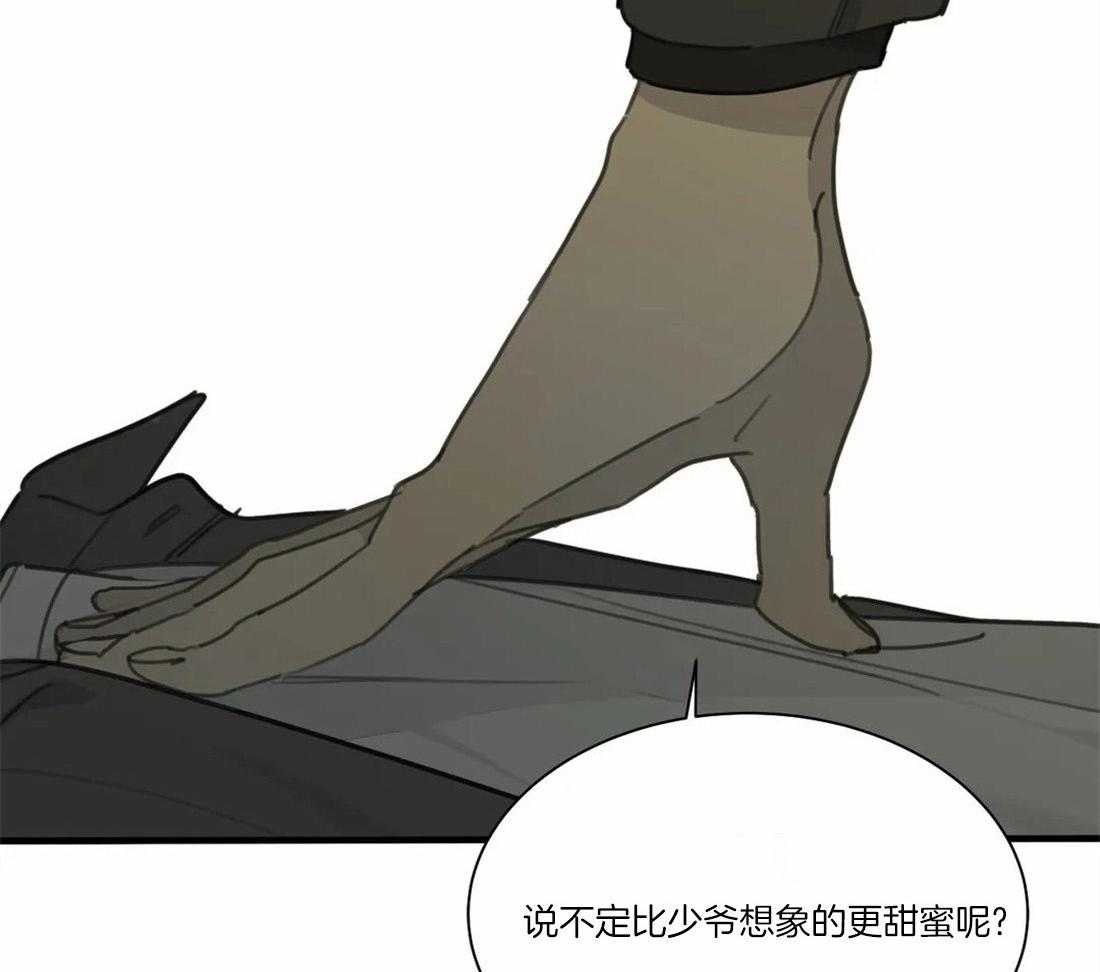 《疯狂的毒》第45话 你该学会感恩 第6页
