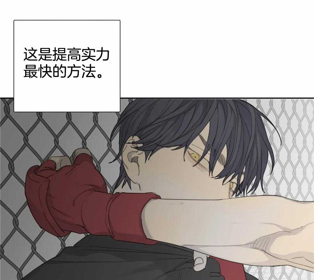《疯狂的毒》第43话 成长 第14页