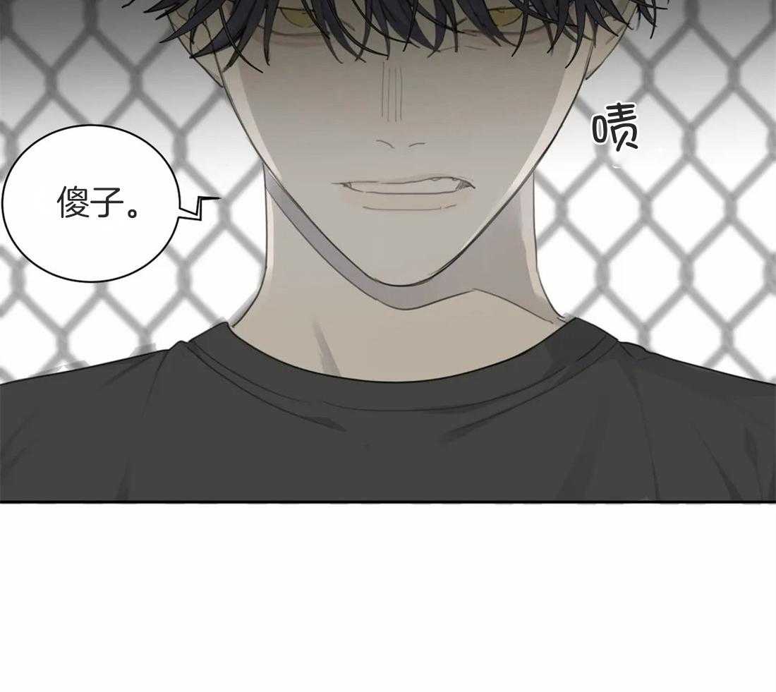 《疯狂的毒》第43话 成长 第3页