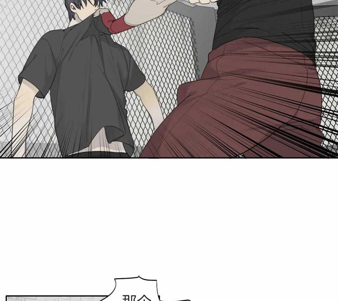 《疯狂的毒》第43话 成长 第5页