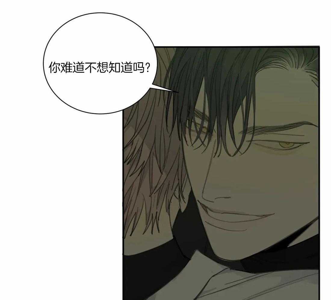 《疯狂的毒》第47话 这还要我教你吗 第29页