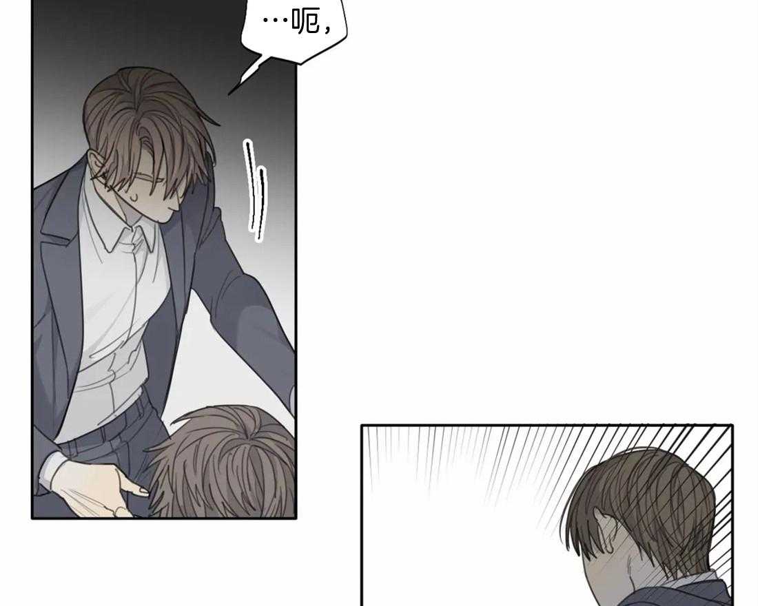 《疯狂的毒》第52话 到此为止吧 第52页