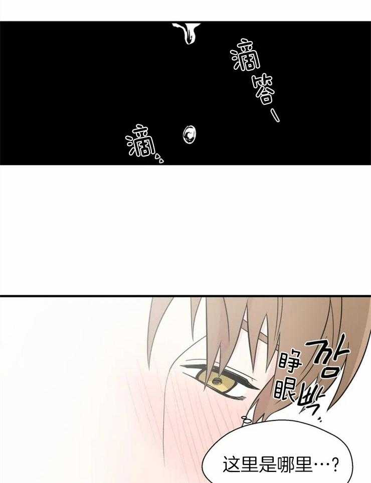 《正人君子》第10话 10_耍耍酒疯 第14页