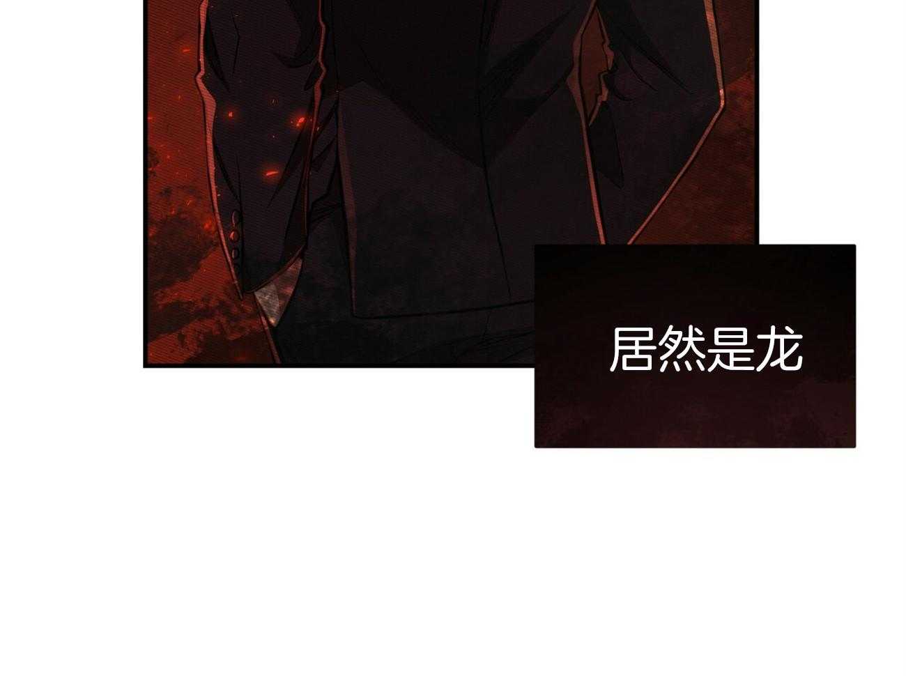《不夜城（共2季）》第95话 居然是龙 第31页