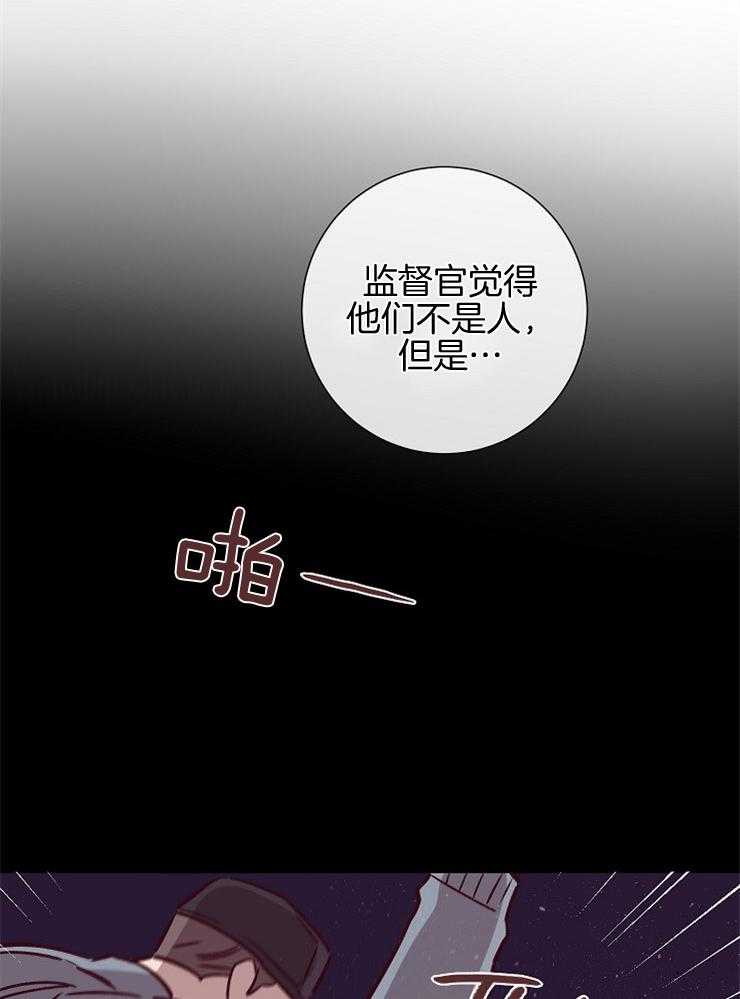 《羊入虎口》第48话 姐姐的消息 第22页
