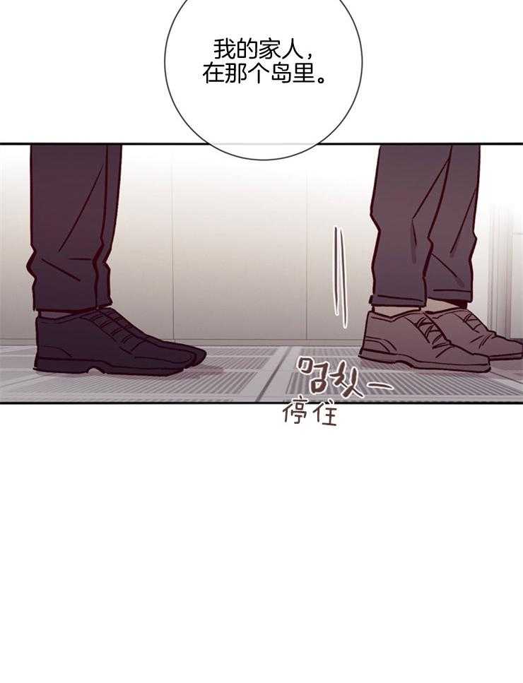 《羊入虎口》第45话 姐弟关系 第11页