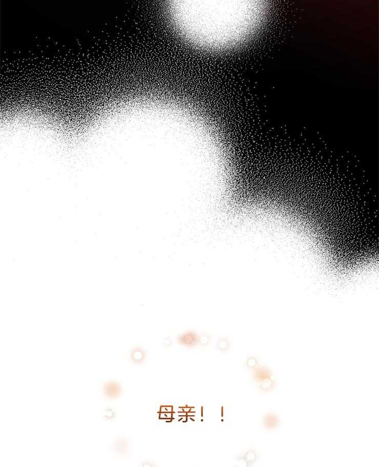 《病娇男二向我求婚了》第71话 母亲 第43页