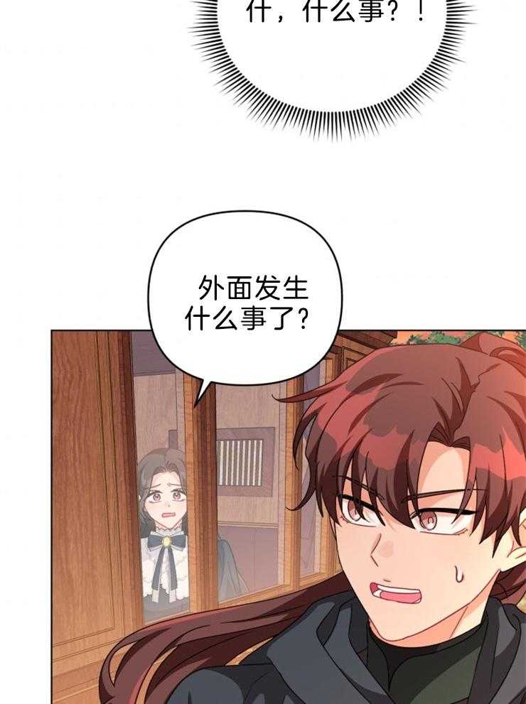 《病娇男二向我求婚了》第67话 又遇刺客 第33页