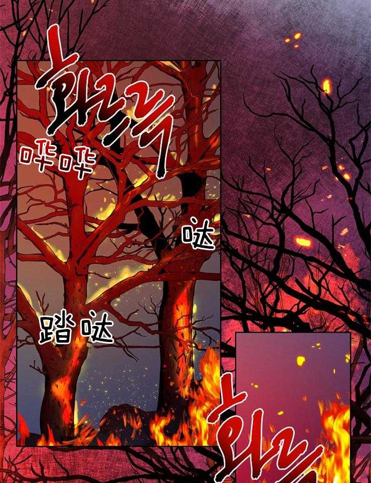 《仙女汤盗窃案》第57话 狩猎开始 第25页