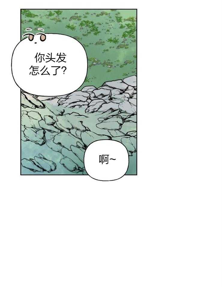《仙女汤盗窃案》第45话 出逃计划 第5页