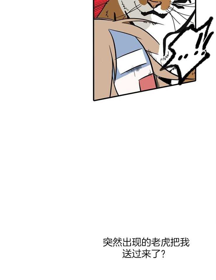《仙女汤盗窃案》第17话 通灵性的老虎 第17页