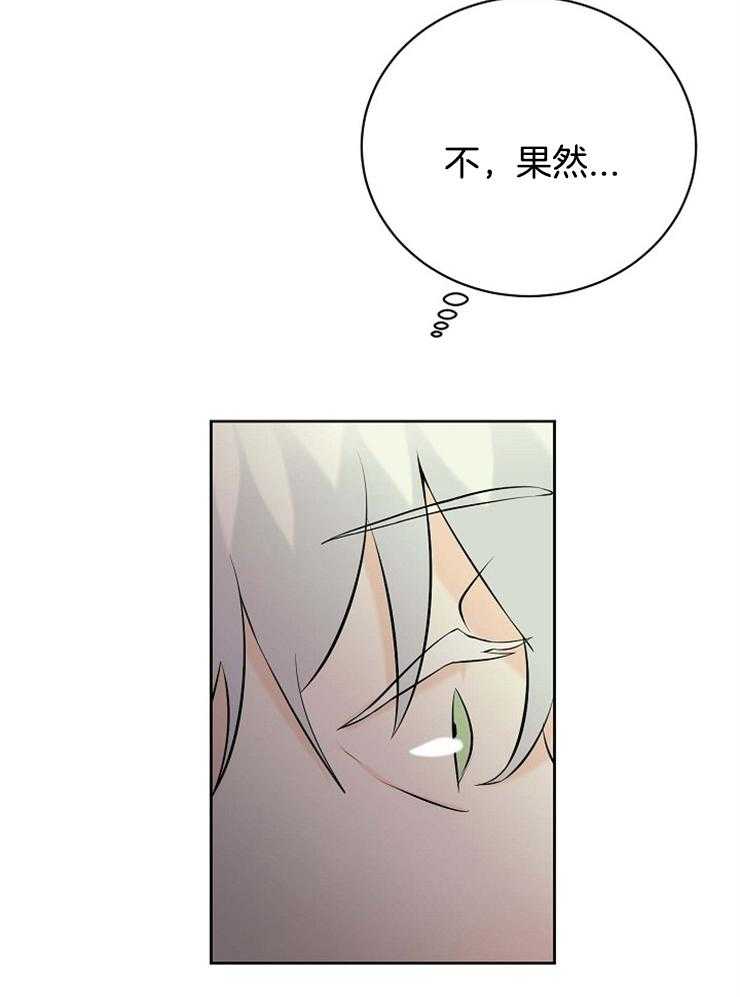 《天使他过于敬业》第36话 美丽的世界 第19页