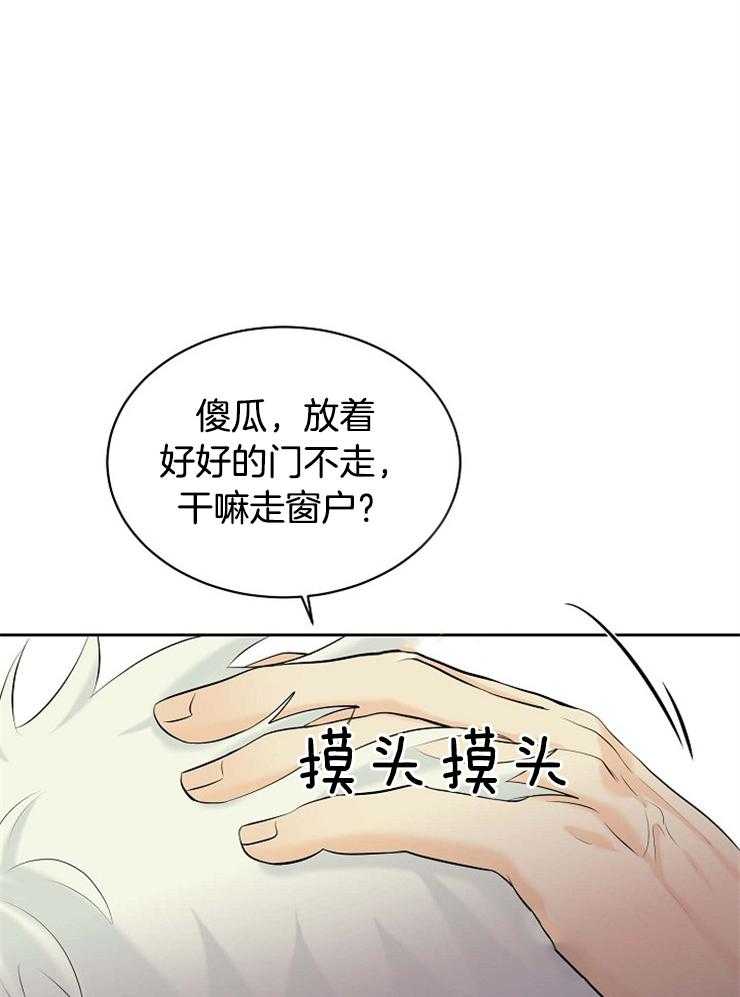 《天使他过于敬业》第37话 遗忘 第15页