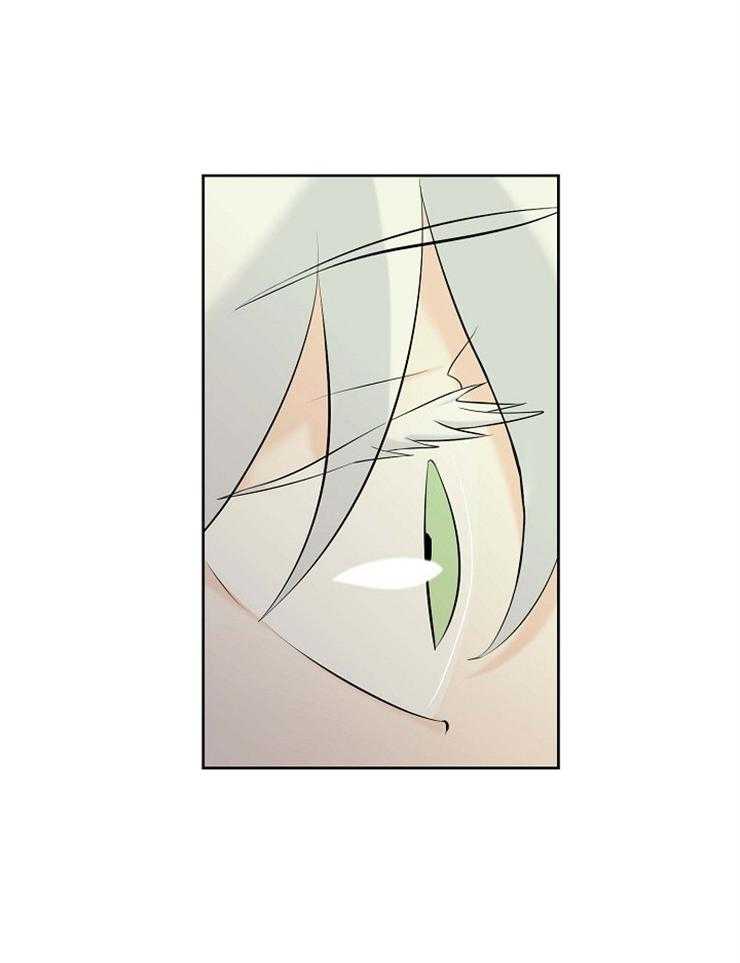 《天使他过于敬业》第37话 遗忘 第35页