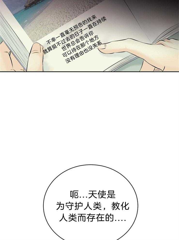 《天使他过于敬业》第61话 错过了什么 第29页