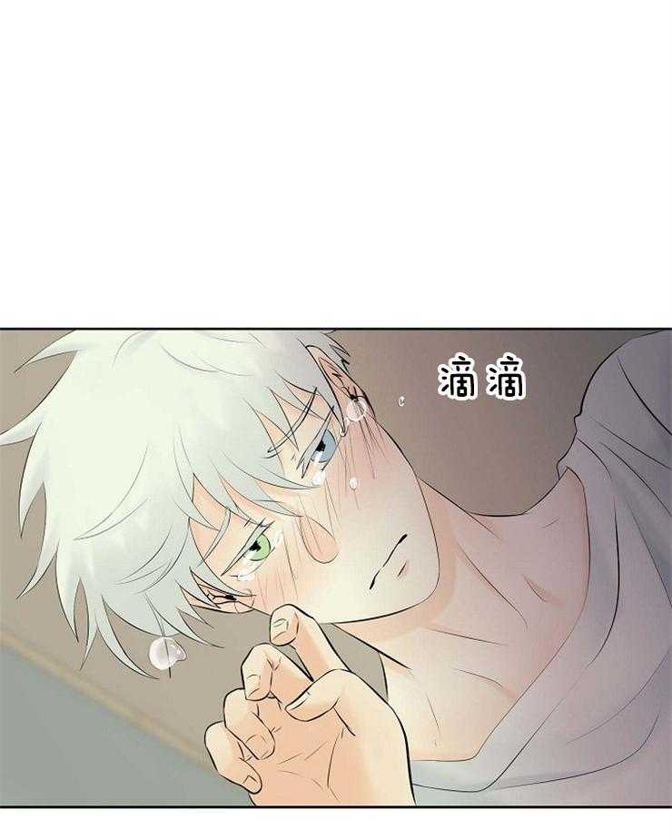 《天使他过于敬业》第66话 重伤倒地 第36页