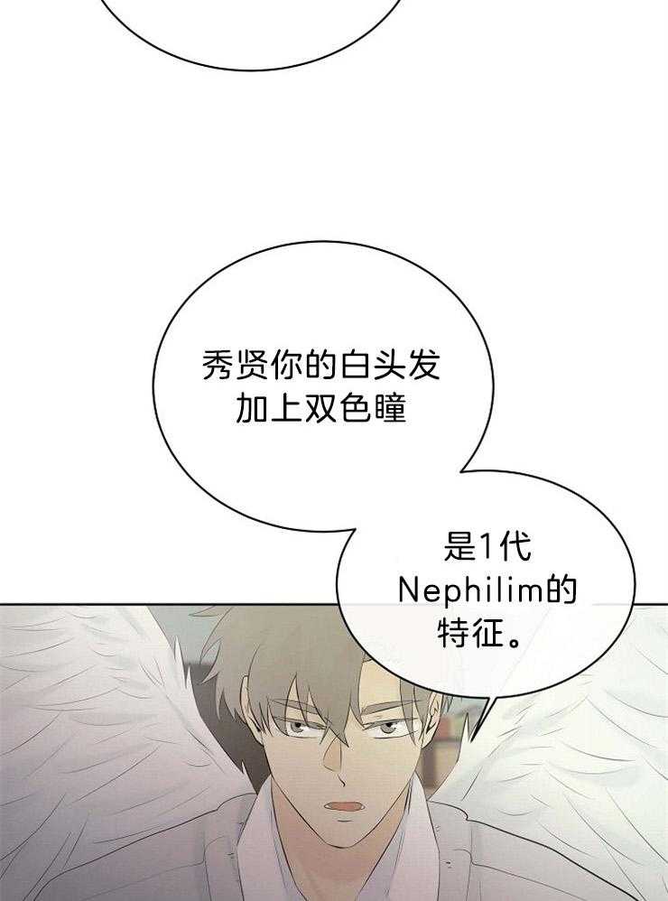 《天使他过于敬业》第72话 混血 第13页