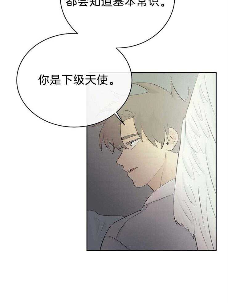 《天使他过于敬业》第72话 混血 第25页