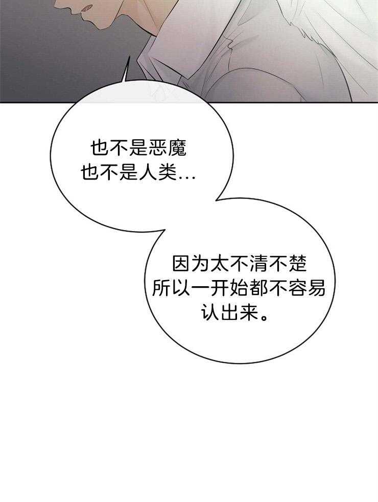 《天使他过于敬业》第72话 混血 第27页