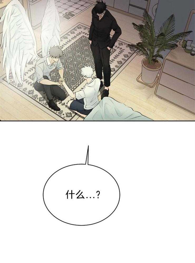 《天使他过于敬业》第72话 混血 第3页