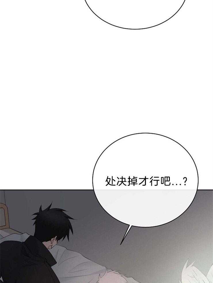 《天使他过于敬业》第72话 混血 第41页