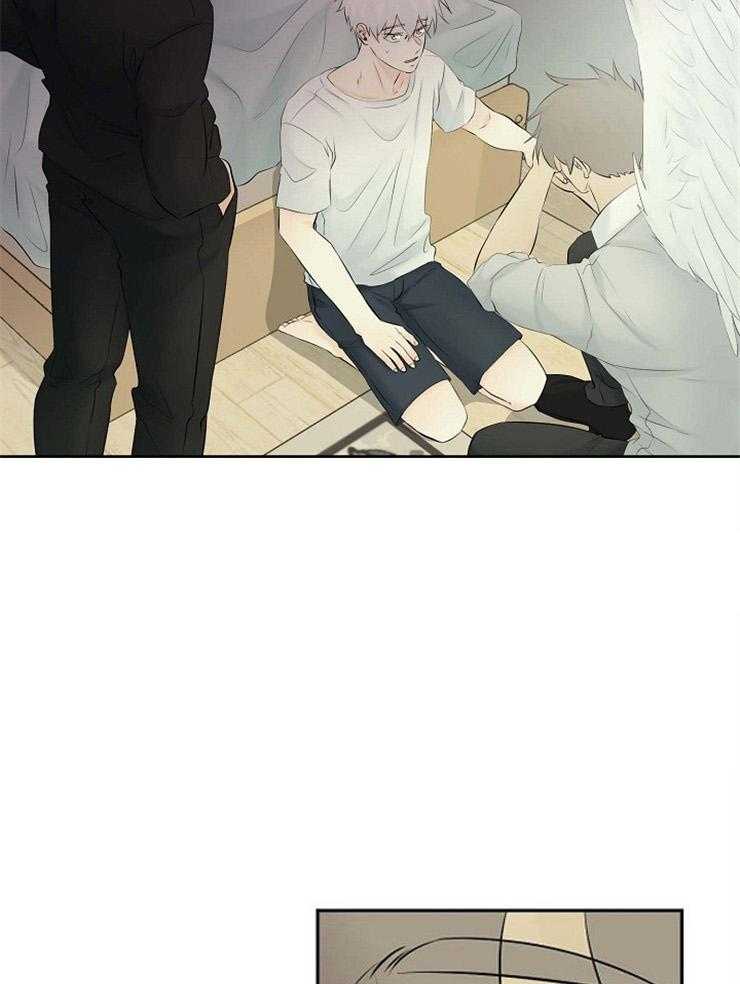 《天使他过于敬业》第72话 混血 第42页