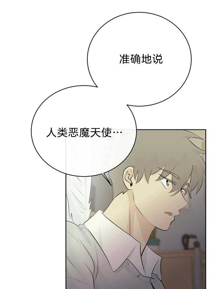 《天使他过于敬业》第72话 混血 第6页