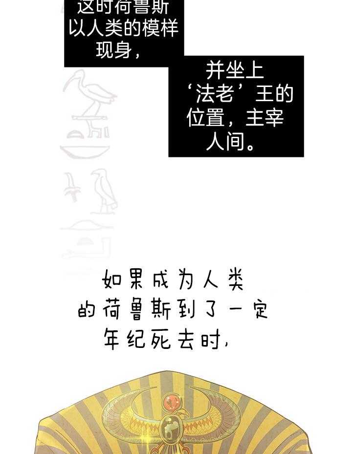 《开罗》第23话 结婚的缘由 第4页