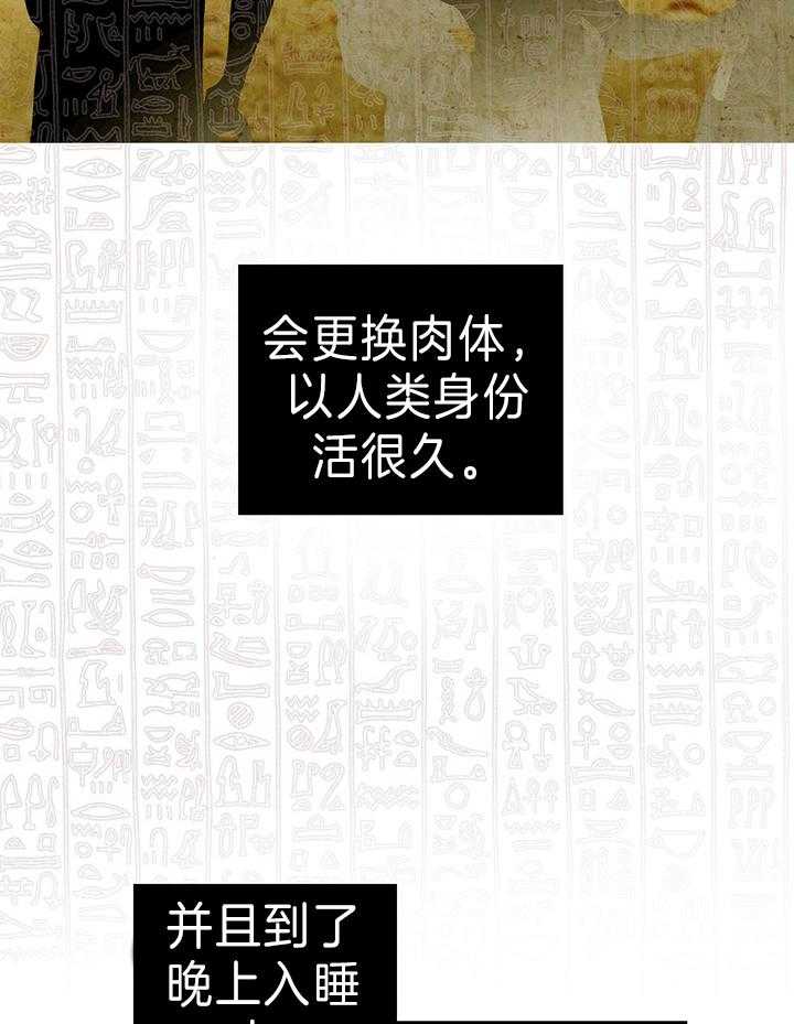 《开罗》第23话 结婚的缘由 第7页