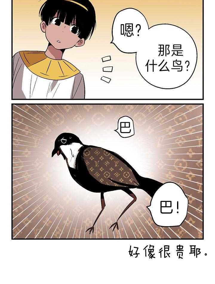 《开罗》第41话 富贵鸟 第6页