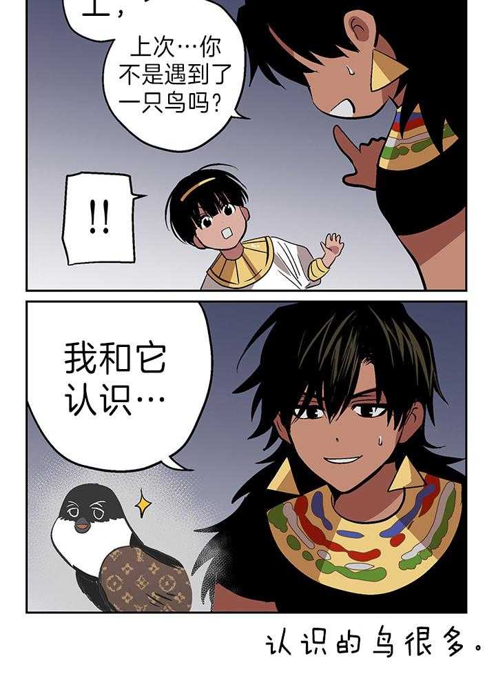 《开罗》第49话 和鸟认识 第3页