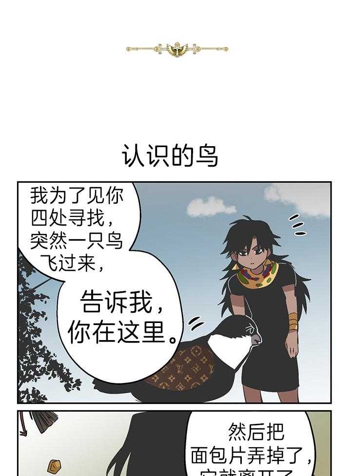 《开罗》第49话 和鸟认识 第4页