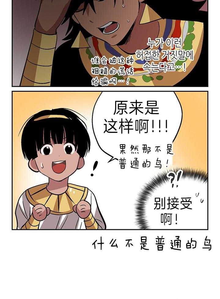 《开罗》第49话 和鸟认识 第6页