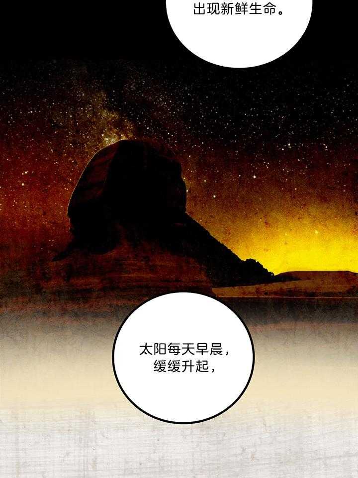 《开罗》第55话 双目对视 第3页