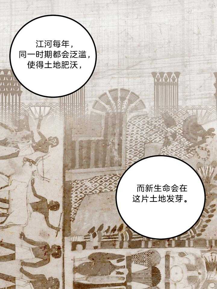 《开罗》第55话 双目对视 第4页