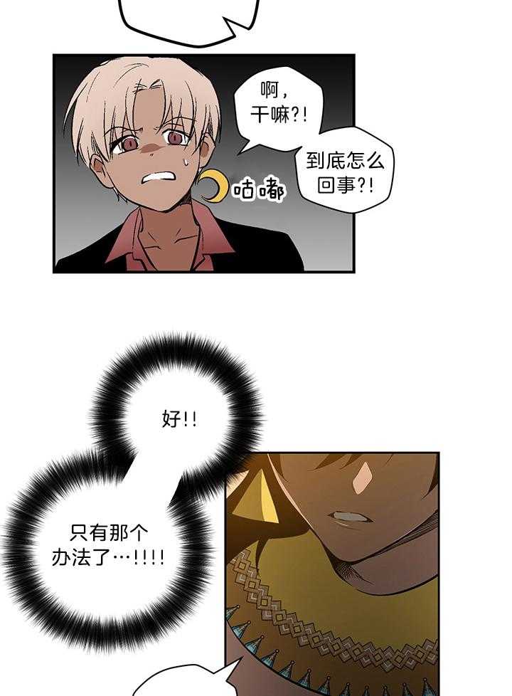 《开罗》第76话 仪式的开始 第13页