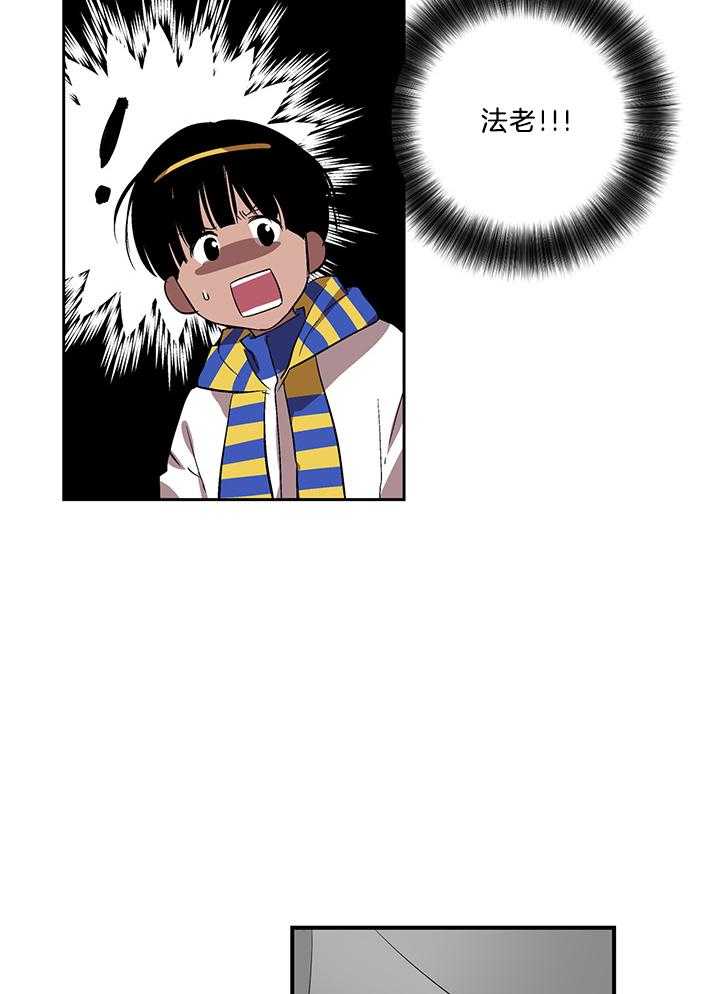 《开罗》第80话 及时喊停 第14页