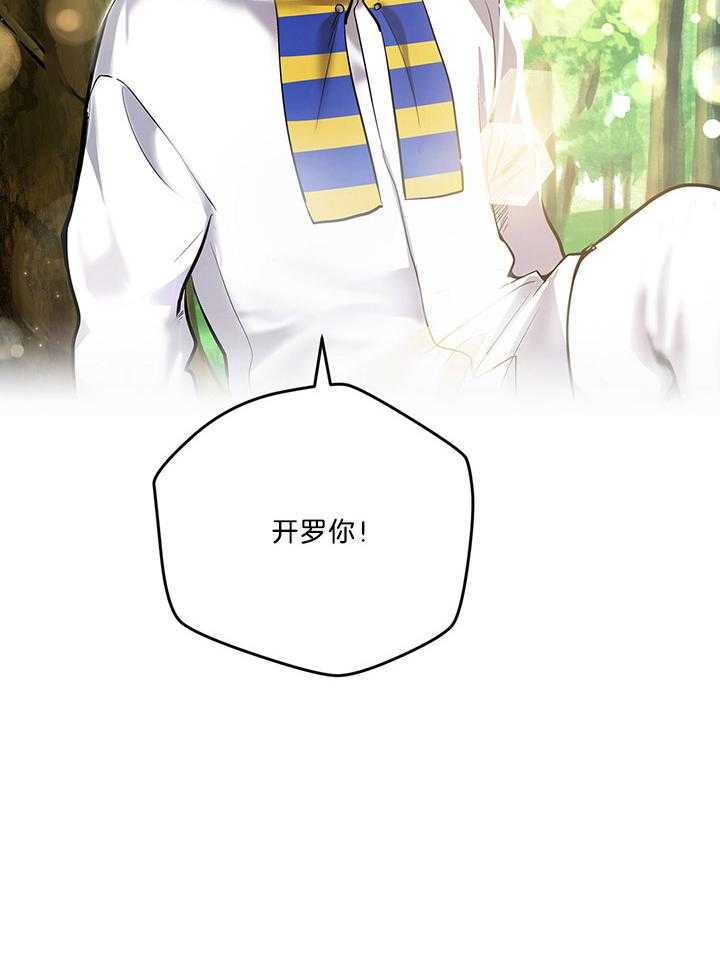 《开罗》第84话 狗撒野狗收场 第26页