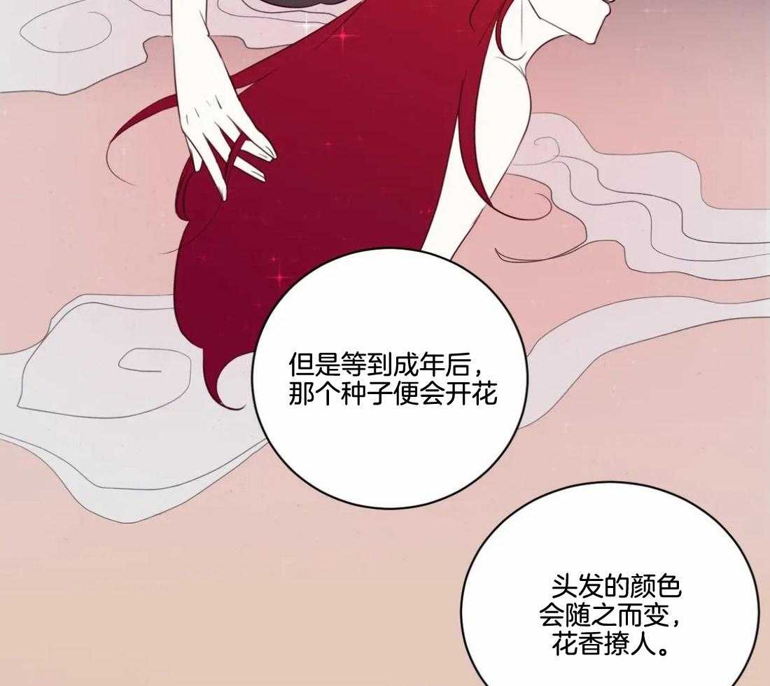 《月夜花院》第1话 1_花人 第41页