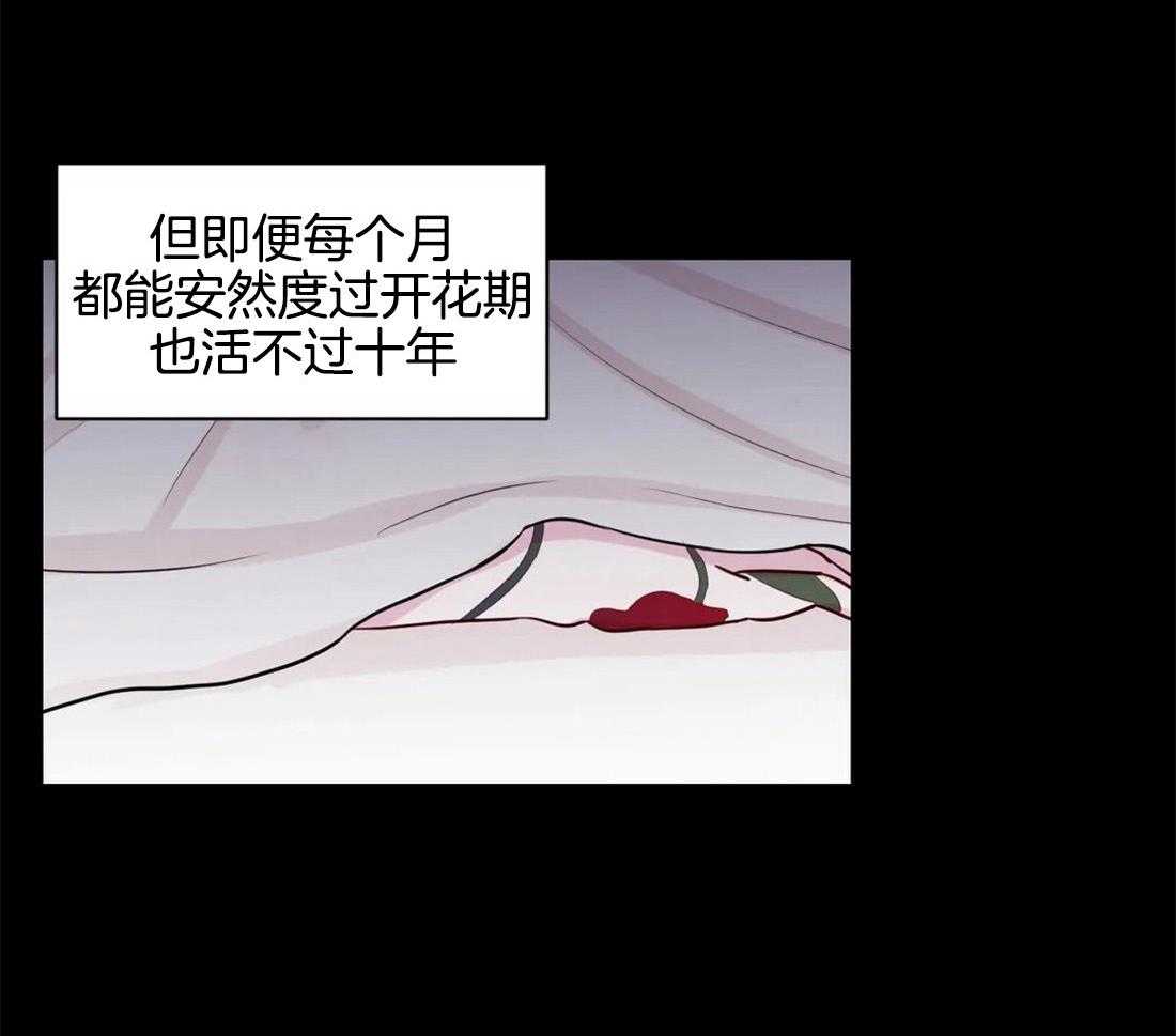 《月夜花院》第14话 花毒 第40页