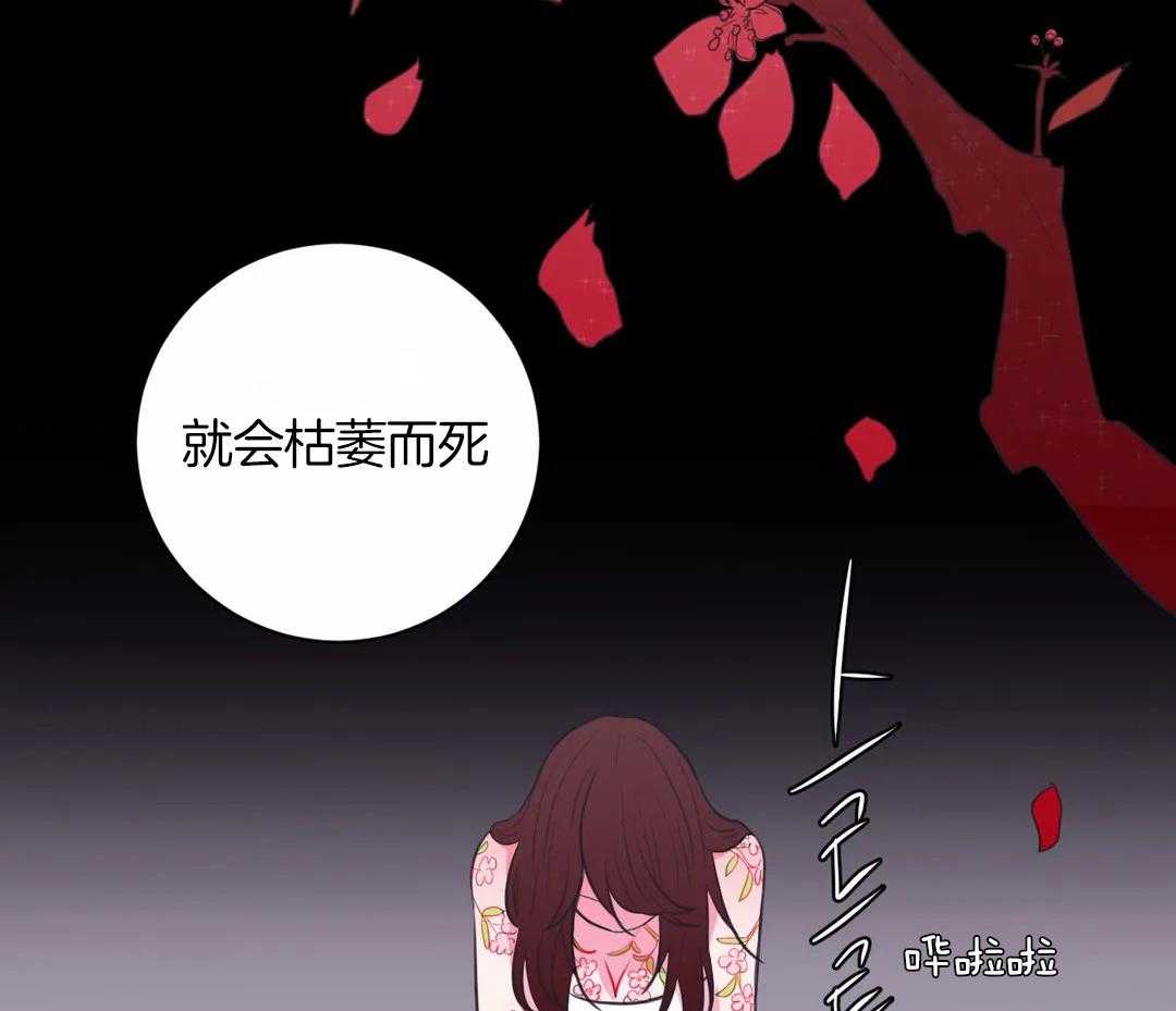 《月夜花院》第52话 火药库 第10页