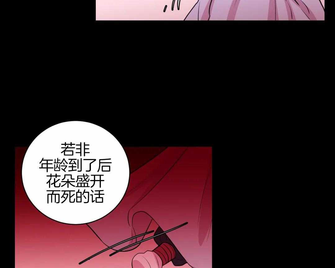 《月夜花院》第52话 火药库 第13页