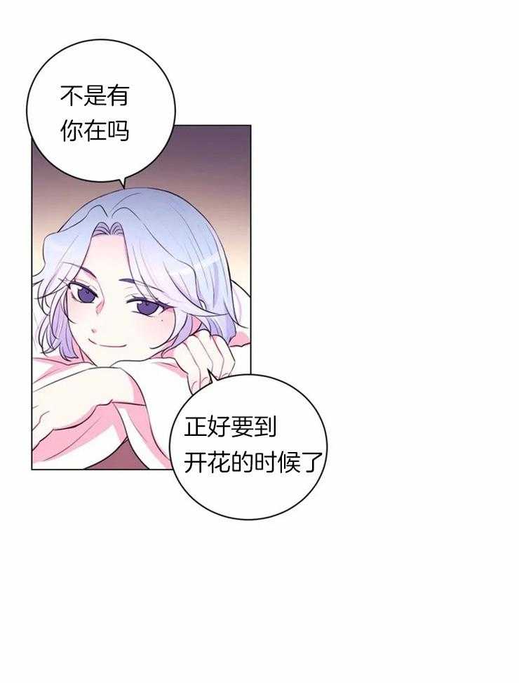 《月夜花院》第83话 不是怕火吗 第12页